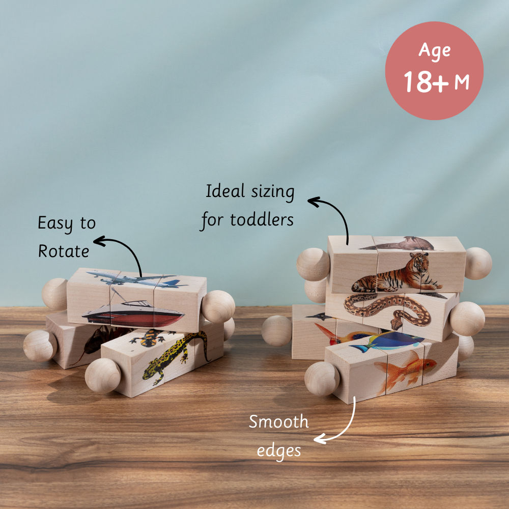 Rotating Puzzle-Modes of Transport